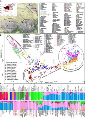 Peopling History of the Tibetan Plateau and Multiple Waves of Admixture of Tibetans Inferred From Both Ancient and Modern Genome-Wide Data